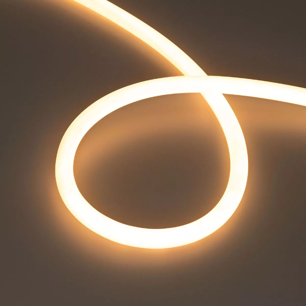 

Светодиодная лента герметичная Arlight MOONLIGHT-TOP-S-M560-D13mm 24V Warm2300 (13 W/m, IP65, 5m, wire x1, трос) 043814