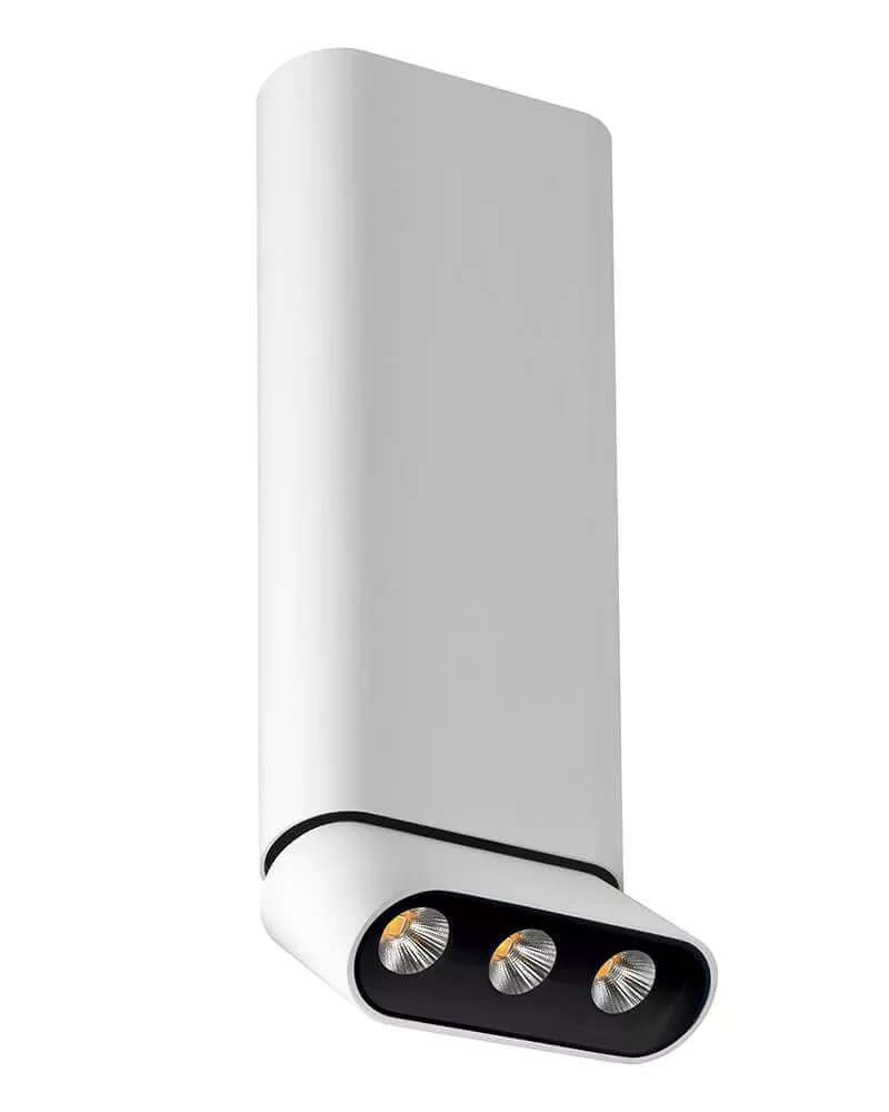 

Светодиодный спот Lumien Hall Фергус 8005/3CL-WT-BK