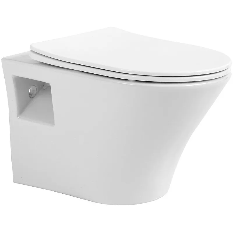 

Унитаз подвесной SinteSi RINK белый с сиденьем микролифт