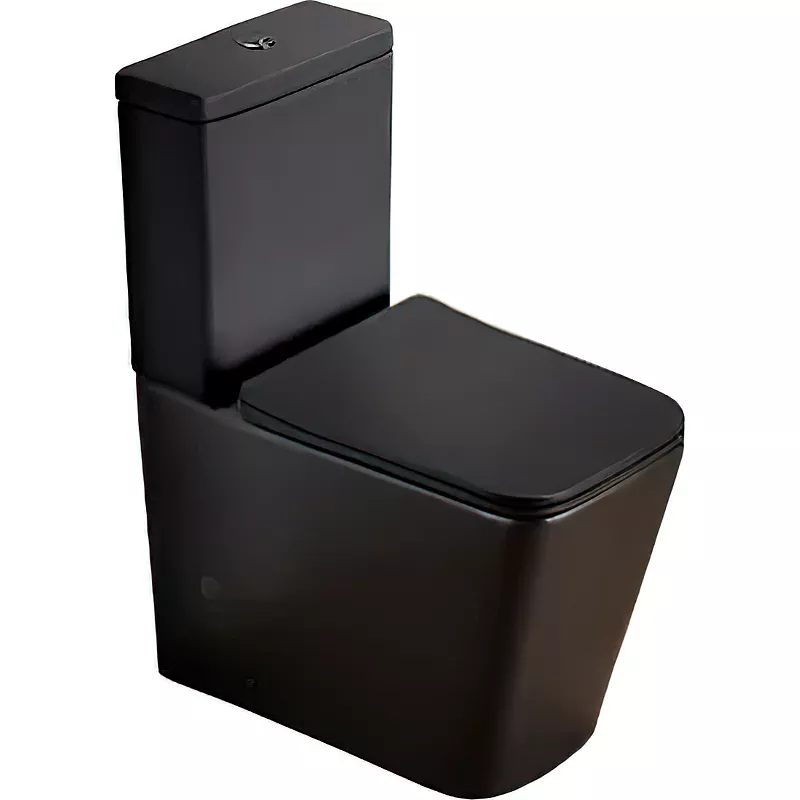 

Напольный унитаз SantiLine SL-5017MB черный матовый с сиденьем микролифт