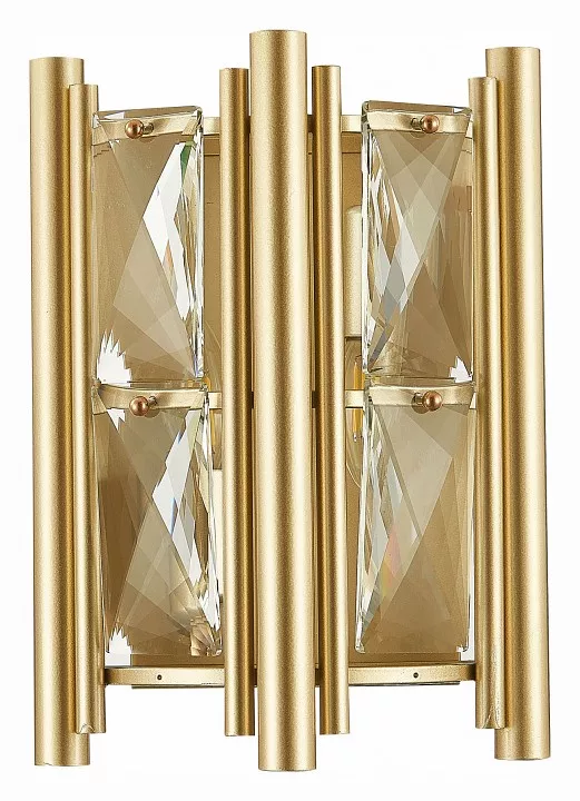 

Накладной светильник ST-Luce Corsia SL1623.201.01