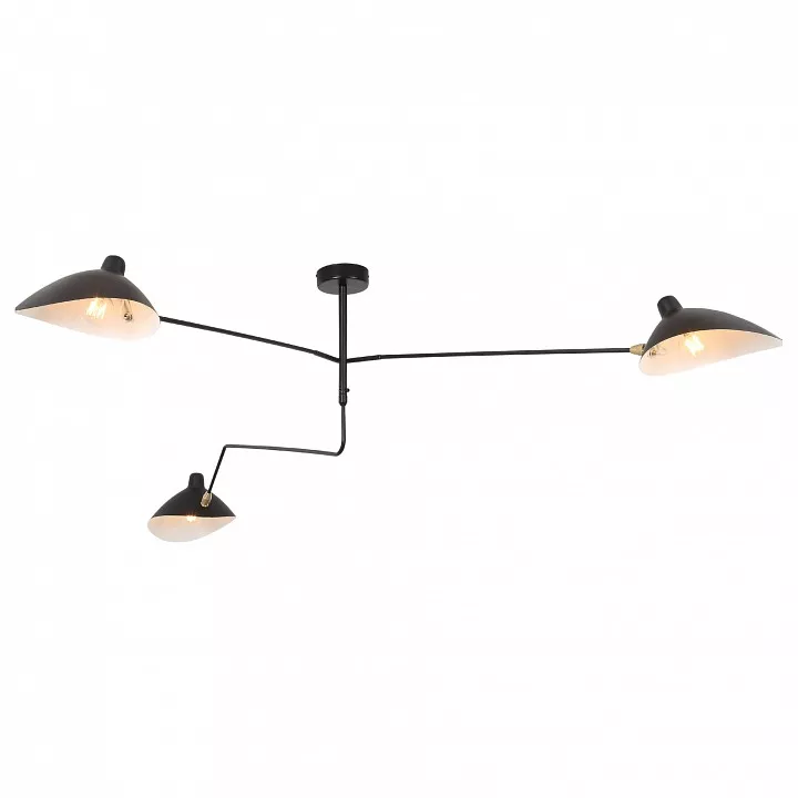 

Люстра на штанге ST-Luce Spruzzo SL305.402.03