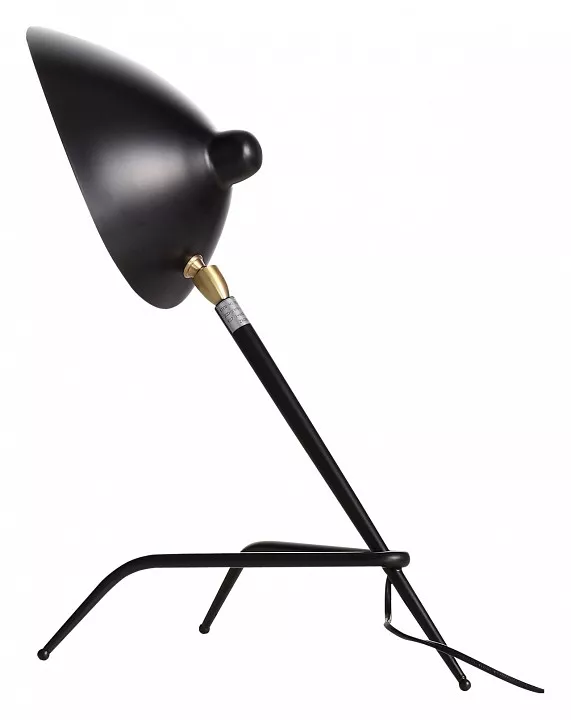 

Настольная лампа декоративная ST-Luce Spruzzo SL305.404.01