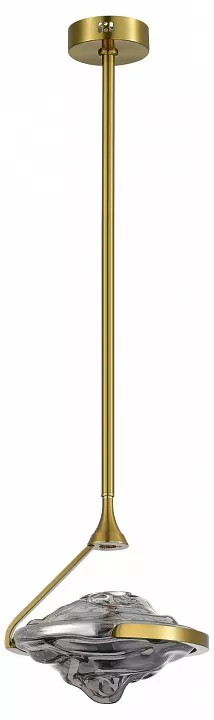 

Светильник на штанге ST-Luce Amara SL6115.303.01