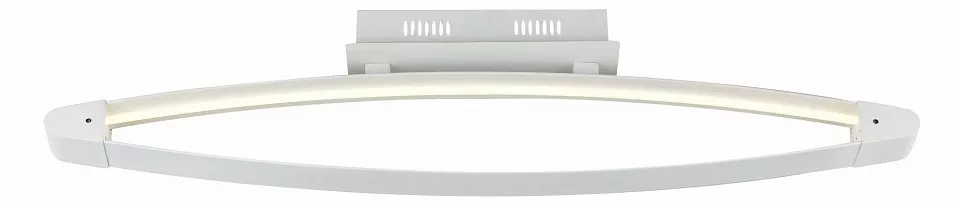 

Накладной светильник ST-Luce SL920 SL920.102.01