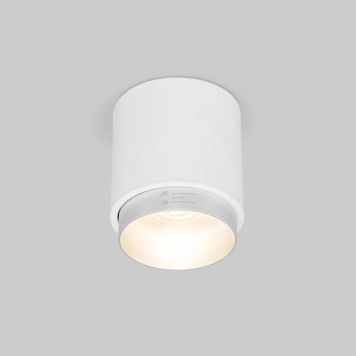 

Накладной светодиодный светильник Elektrostandard Cors 25032/LED белый/серебро a062387