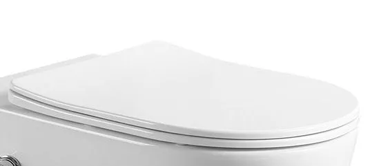 

Zoe AM9322C1SC Сиденье дюропласт, soft close, металлическое крепление