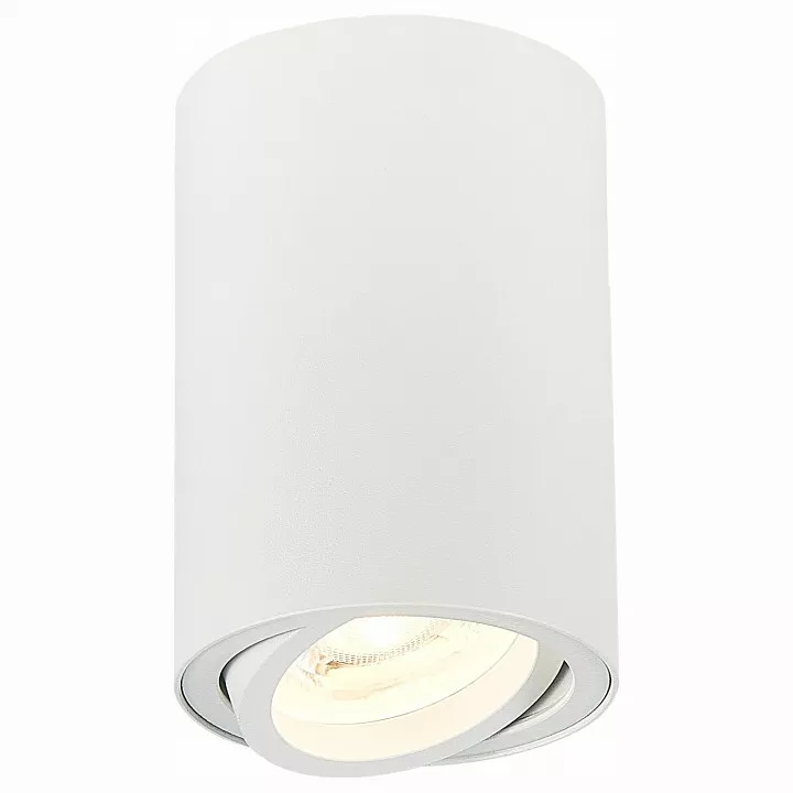 

Спот ST-Luce Torus ST108.507.01