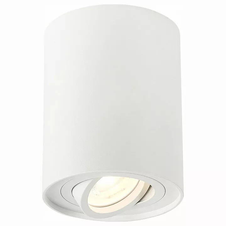 

Спот ST-Luce Torus ST108.517.01