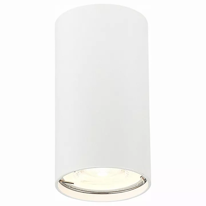 

Накладной светильник ST-Luce Simplus ST110.507.01
