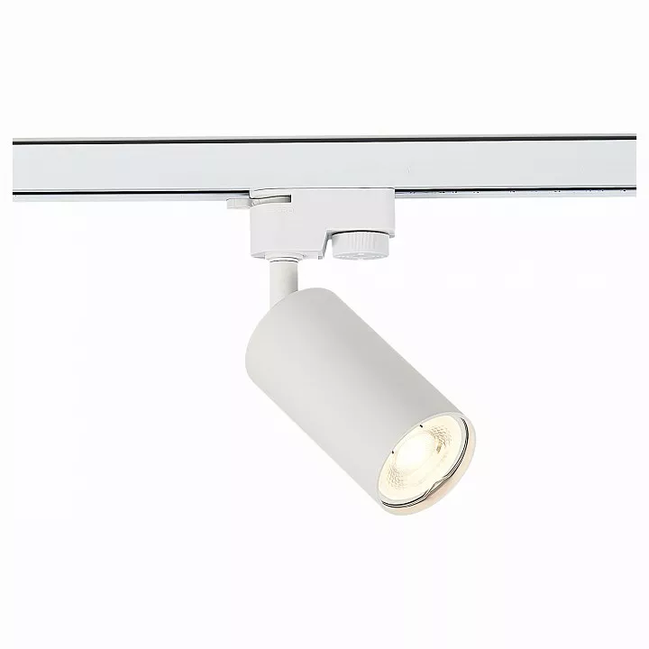

Светильник на штанге ST-Luce Solt ST300.506.01