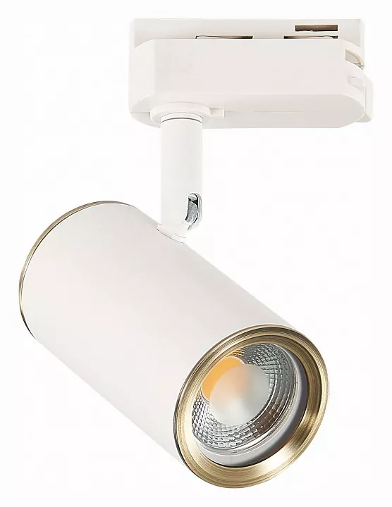 

Светильник на штанге ST-Luce Cromi ST301.536.01
