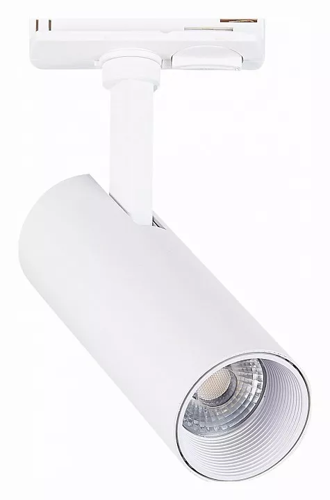 

Светильник на штанге ST-Luce Mono ST350.546.10.36