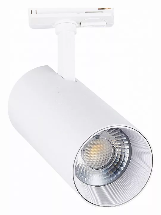 

Светильник на штанге ST-Luce Mono ST350.546.30.36