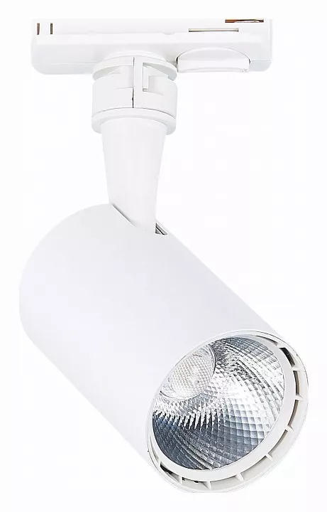 

Светильник на штанге ST-Luce Cami ST351.536.10.36