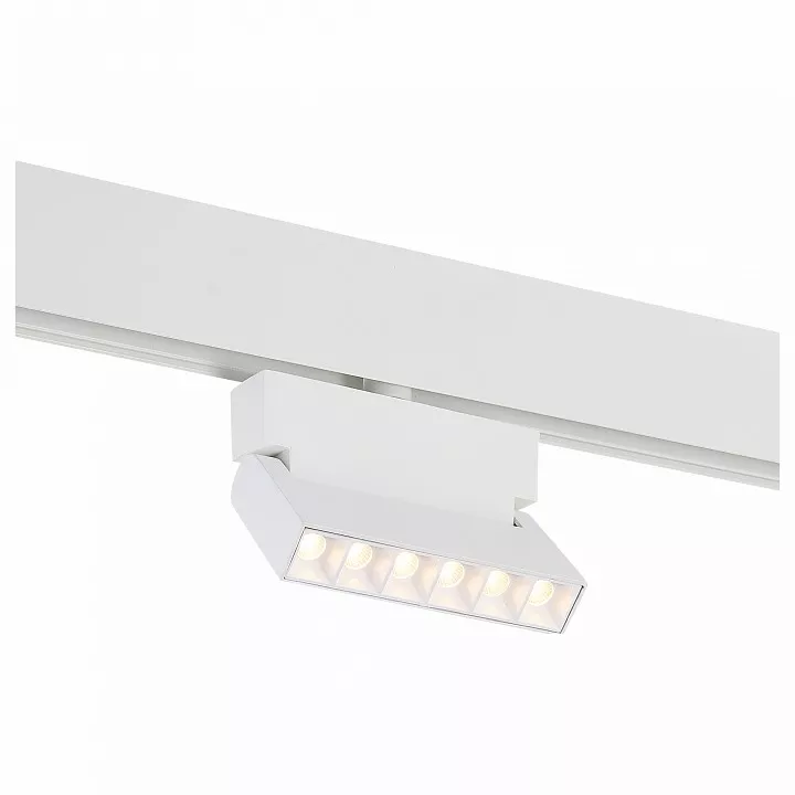 

Светильник на штанге ST-Luce Andre ST362.536.06