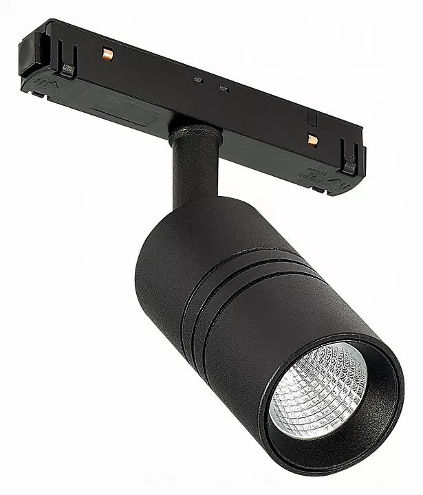 

Светильник на штанге ST-Luce Lemmi ST365.446.07