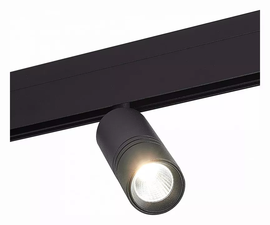 

Светильник на штанге ST-Luce Lemmi ST365.446.12