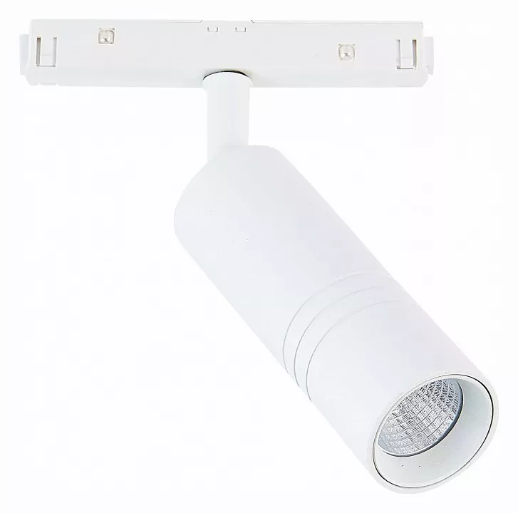 

Светильник на штанге ST-Luce Lemmi ST365.546.12