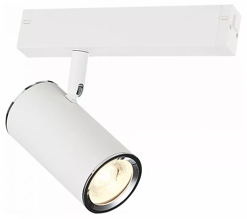 

Светильник на штанге ST-Luce SKYLINE 220 ST504.506.01