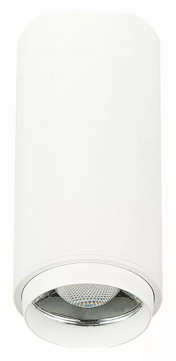 

Накладной светильник ST-Luce Zoom ST600.542.10