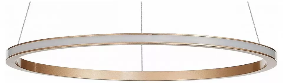 

Подвесной светильник ST-Luce ST604 OUT ST604.243.22