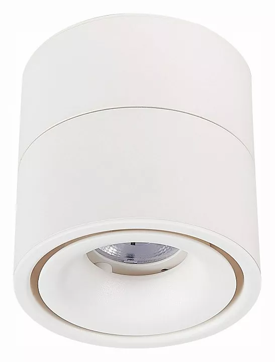 

Светильник на штанге ST-Luce ST652 ST652.542.12