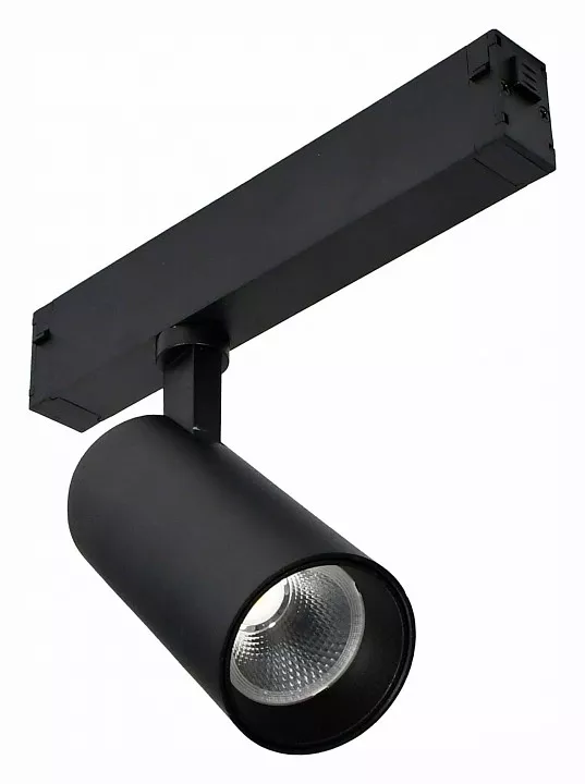 

Светильник на штанге ST-Luce Skyline 220 ST660.446.20