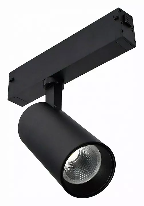 

Светильник на штанге ST-Luce ST660 ST660.496.10