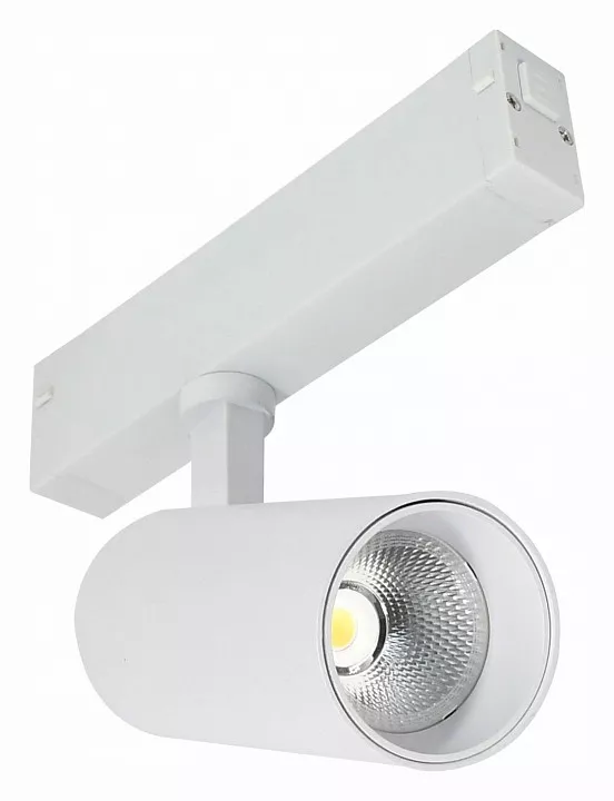 

Светильник на штанге ST-Luce Skyline 220 ST660.536.10