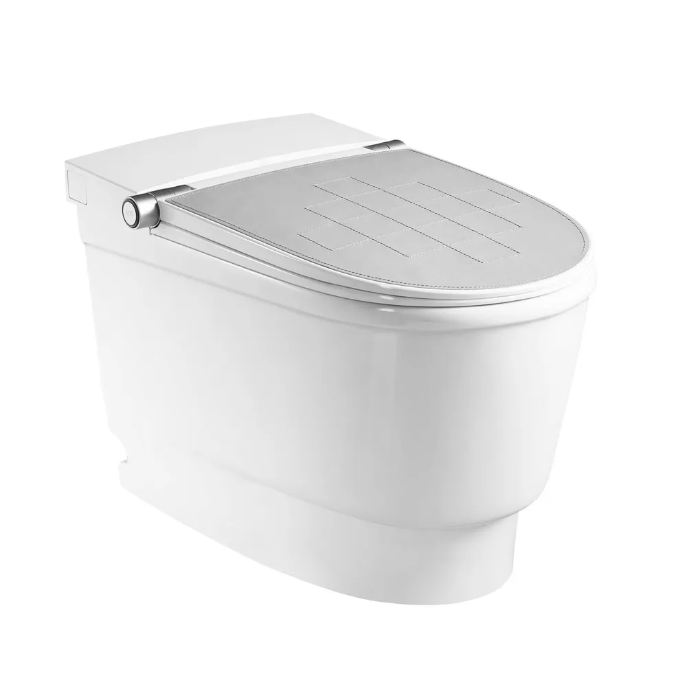 

Электронный унитаз Orans IT-809JD (655x425x460), Белый