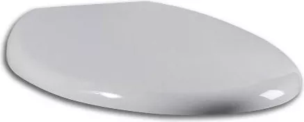 

Сиденье для унитаза Am.pm Bliss (C557851WH), Белый