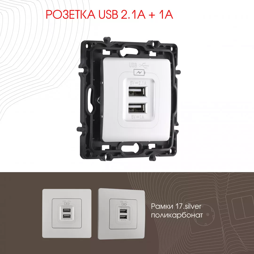 

Розетка USB 2.1А+1А Arte Milano 217.46-1.silver