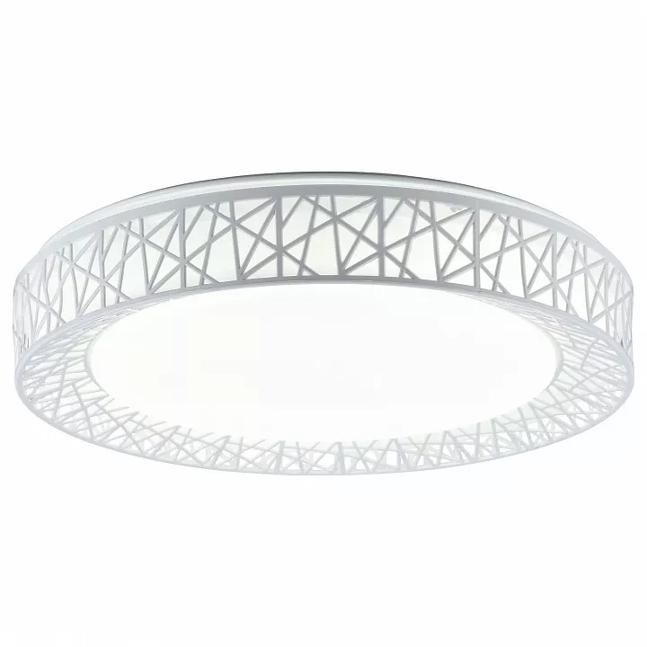 

Накладной светильник TopLight Diana TL1204X-72WH
