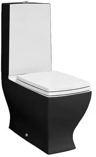 

Напольный унитаз ArtCeram (JZV003 01;50), Белый;черный