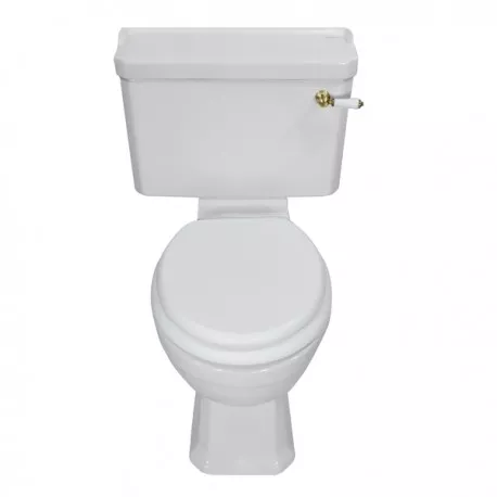 

Унитаз напольный Magliezza Retro с крышкой бачком белый