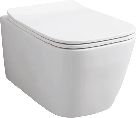 Чаша для подвесного унитаза Artceram A16 белый матовый, без сиденья (ASV003 05;00)