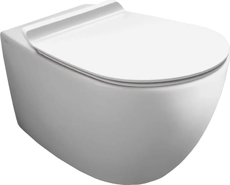 

Чаша для подвесного унитаза Simas Vignoni без сиденья белый глянцевый (VI18bi)