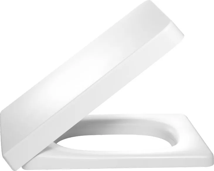 

Сиденье для унитаза Jacob Delafon Reve (72228-00)