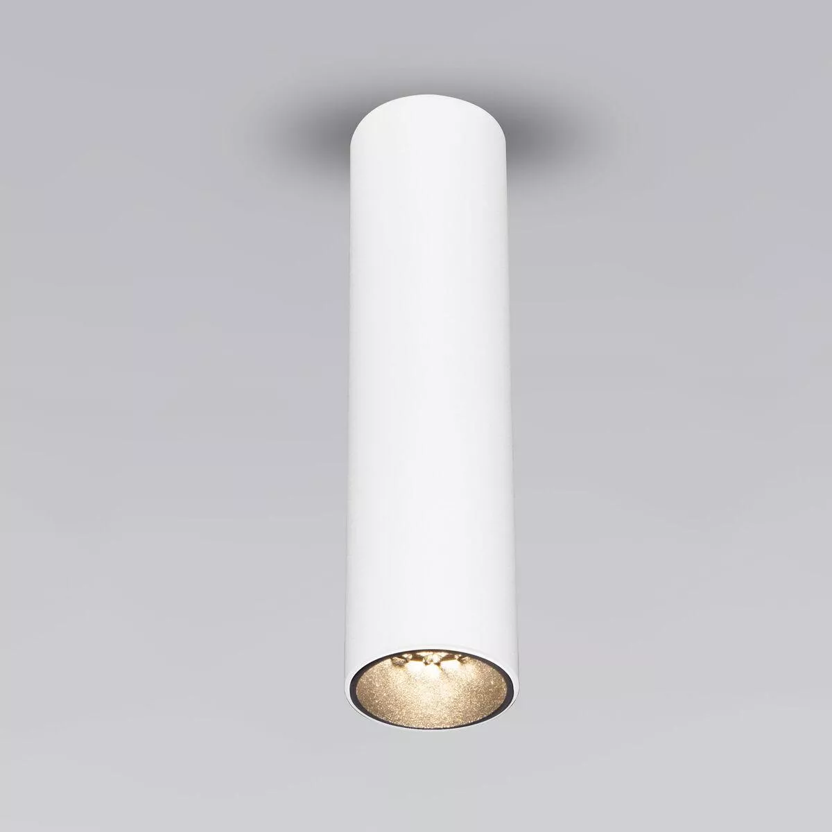 

Накладной светодиодный светильник Elektrostandard Pika 25031/LED белый a061537