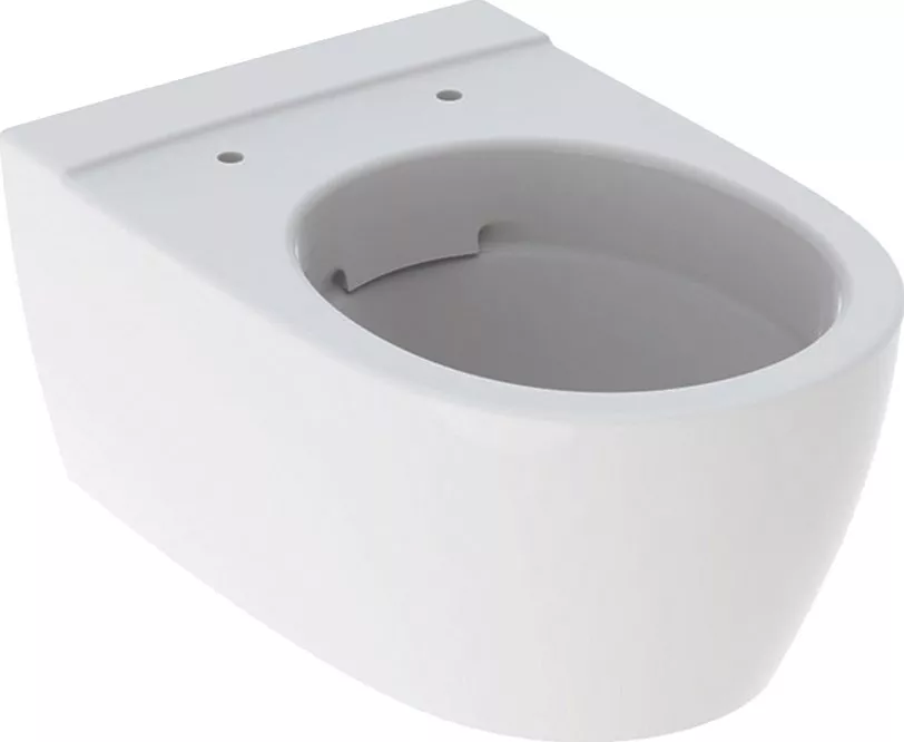 

Чаша для унитаза подвесного Geberit iCon 204060000
