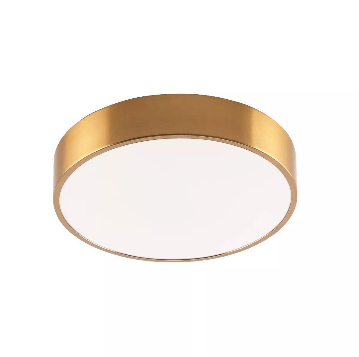 

Потолочный светильник Zortes Tortty ZRS.02566.48