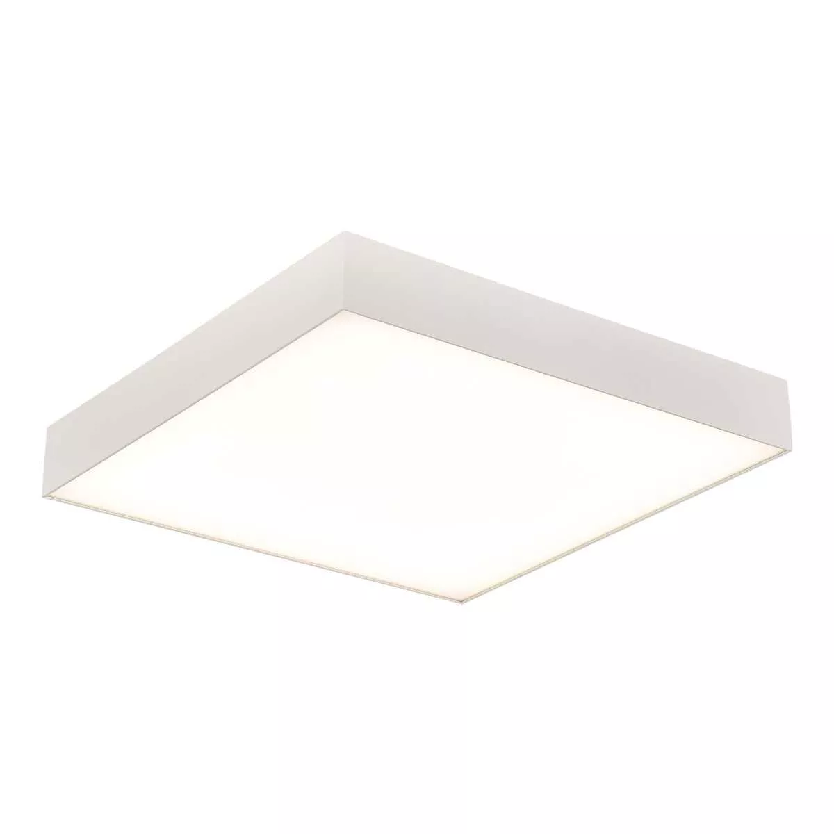 

Светильник потолочный ST Luce ST608.542.48