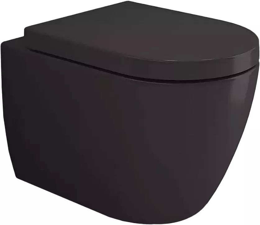 

Унитаз подвесной Bocchi Venezia 1295-004-0129 черный матовый, с крышкой A0302-004 с микролифтом