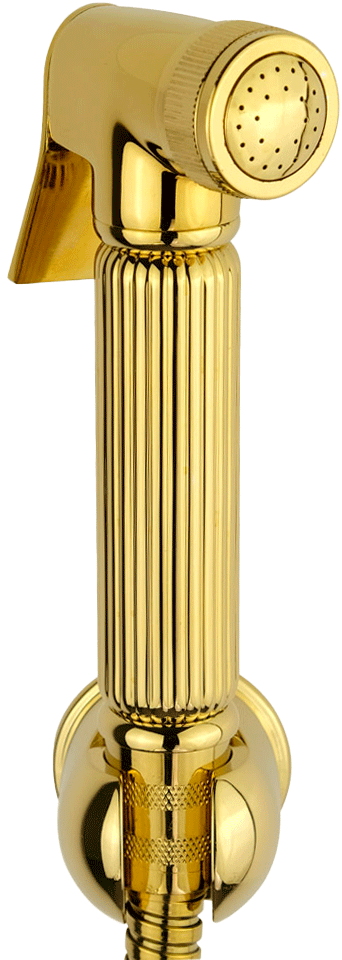 

Гигиенический душ Veragio Kit 30826 золото