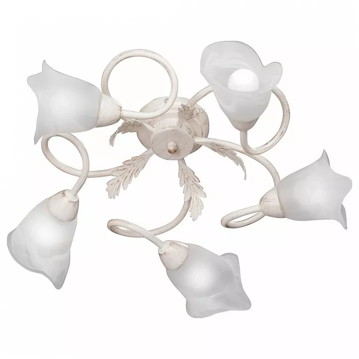 

Потолочная люстра Vitaluce V1445 V1445-0/5PL