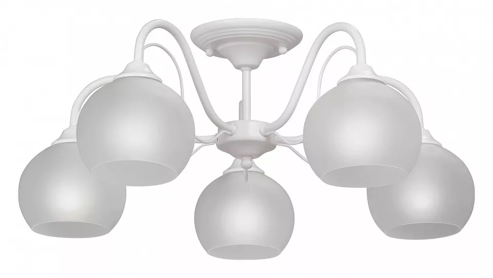

Люстра на штанге Vitaluce 3948 V3948-0/5PL