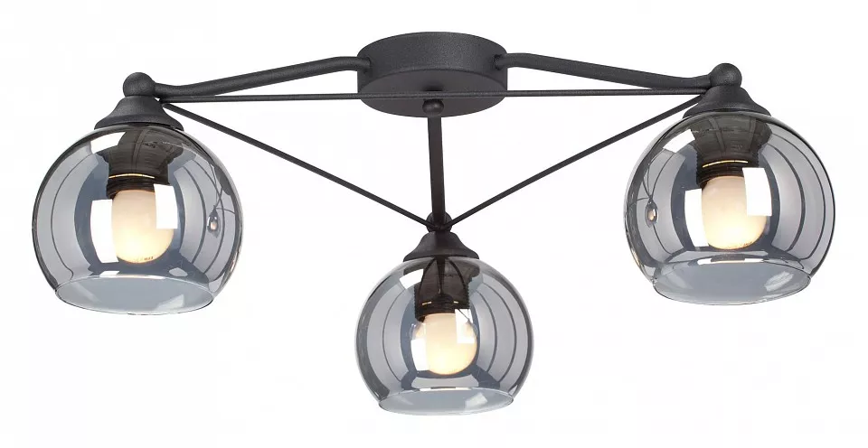 

Потолочная люстра Vitaluce V4703-1/3PL