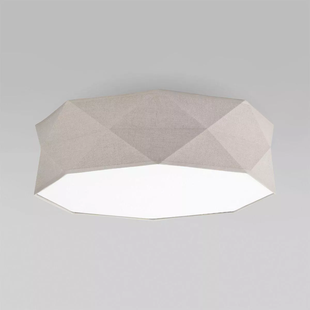 

Потолочный светильник TK Lighting 6195 Kantoor Nature