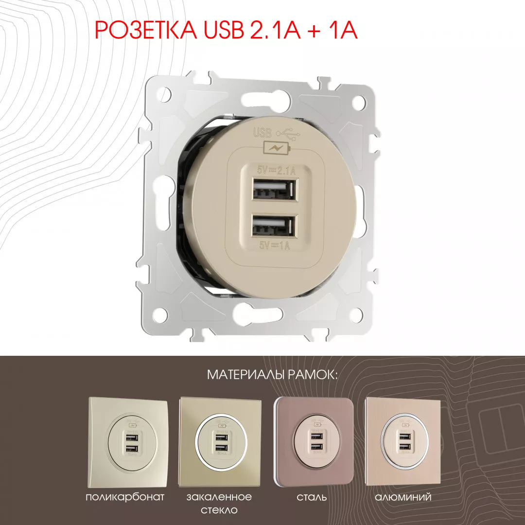 

Розетка USB 2.1А+1А Arte Milano 202.46-1.shampan